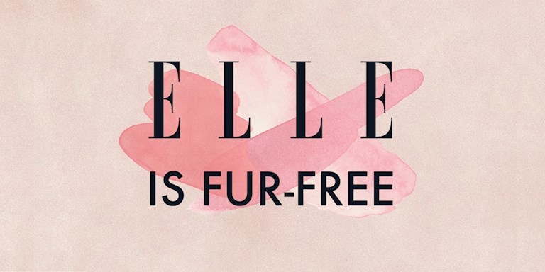 e4b3fe9f-3d83-4c0c-b6f9-2a73ab0f2704-fur-free.jpg