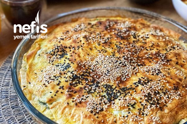 ispanakli-pirasli-nefis-borek.jpg