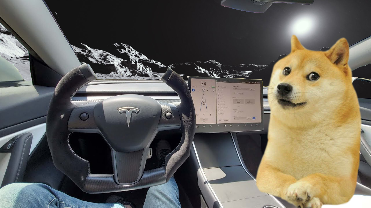 tesla-dogecoin.png