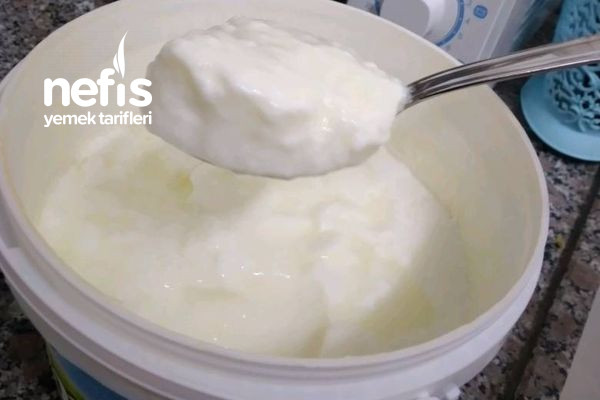 kalip-gibi-yogurt.jpg