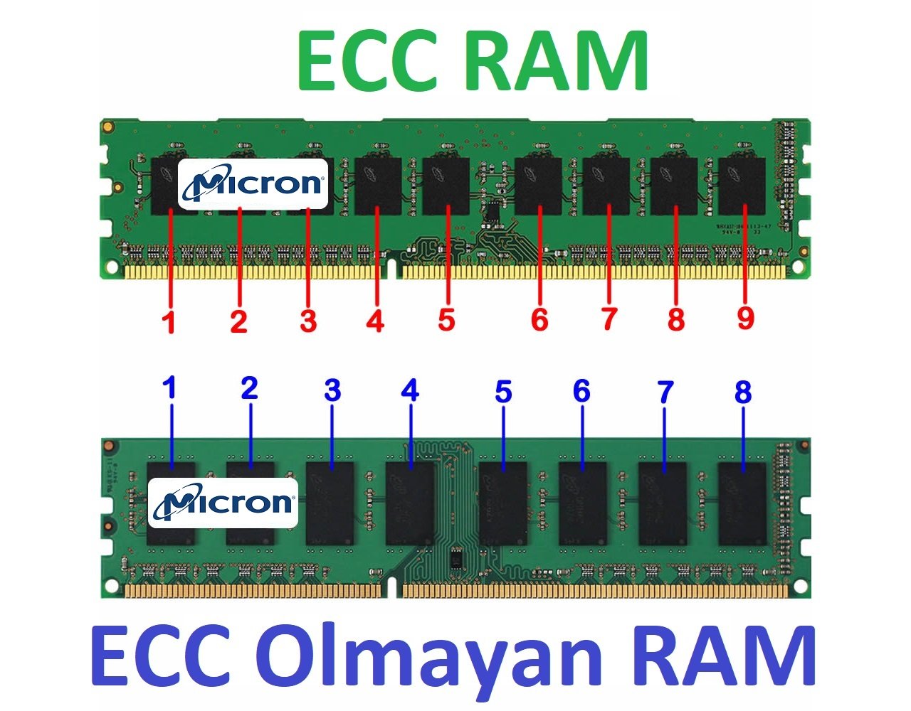 ecc-non-ecc-server-ram-micron.jpg