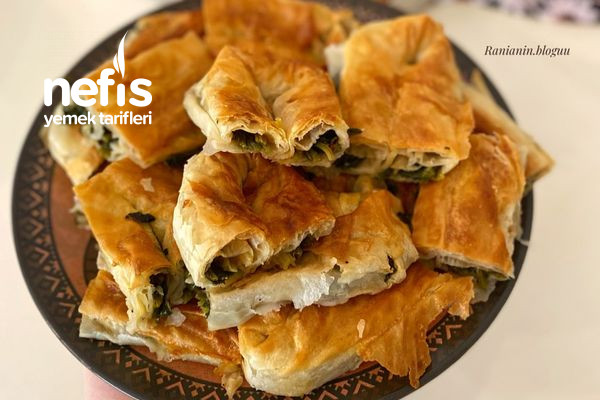 ozel-soslu-ispanakli-borek.jpg