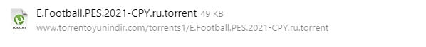 torrent dosyası