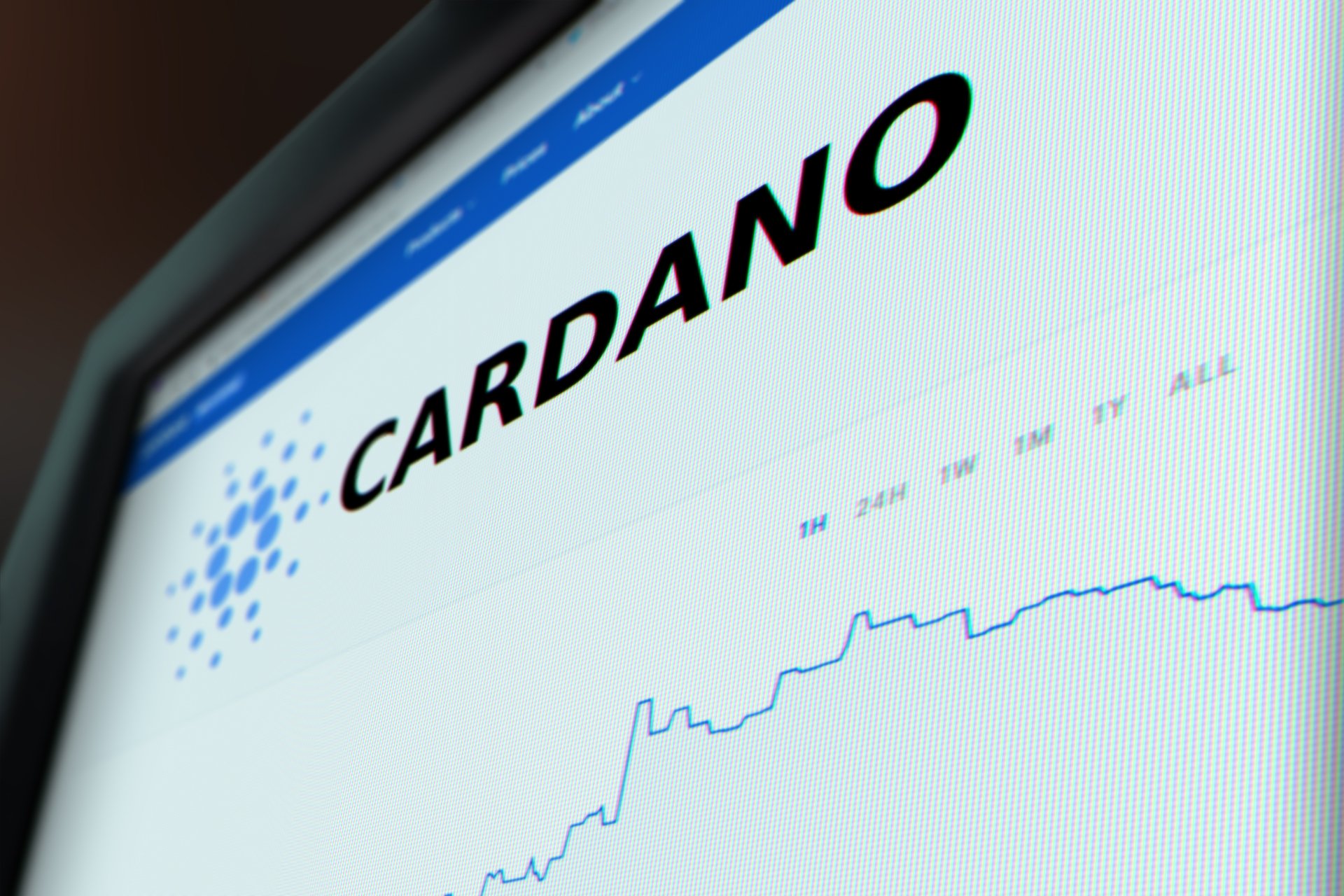 monitor-cardano-stock.jpg