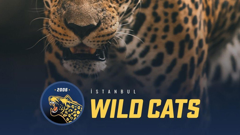 western-dijital-wildcats-g9bT_cover.jpg