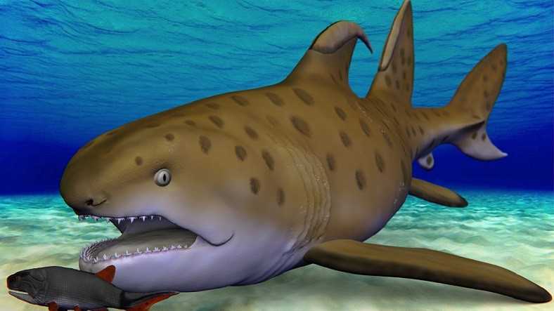 kopek-baligi-fosili-godzilla-shark-1618746658.jpg