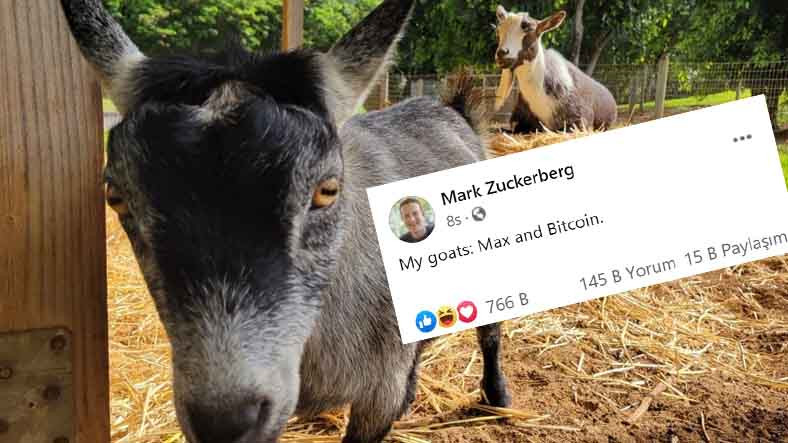 mark-zuckerberg-kecilerinden-bir-tanesinin-isminin-bitcoin-oldugunu-acikladi-1620717338.jpg