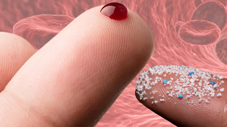 insan-kaninda-mikroplastik-bulundugu-tespit-edildi-1648126170.jpg