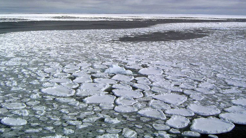 guney-kutbu-ndaki-buzullar-felaket-derecesinde-erimeye-basladi-1562060220.jpg
