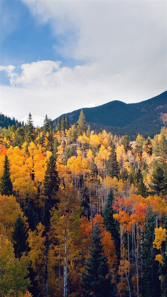 fall-nature-mountain-wood-forest-tr-LNdX.jpg