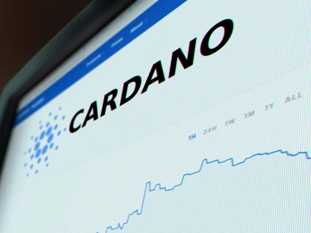 monitor-cardano-stock.jpg