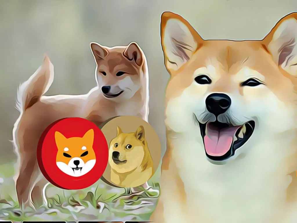 Shiba-Inu-SHIB-Dogecoin-DOGE-ve-Baby-Dogecoin-coin-turk-com-1200x900-1.jpg