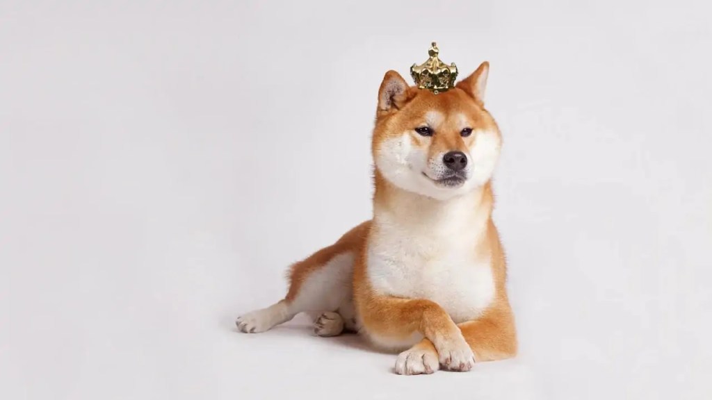 p-1-Shiba-Inu-coin-surges-700-now-challenging-rival-token-Dogecoin.jpg