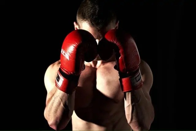 boxing-4677527_640.jpg