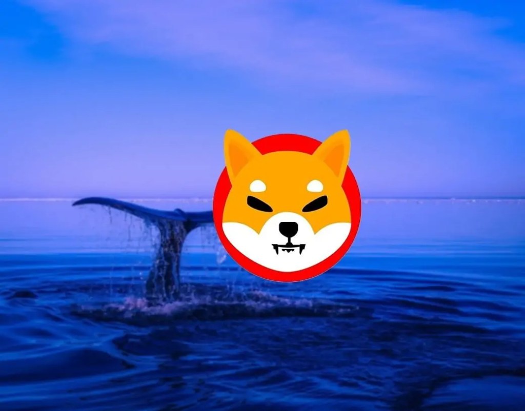 shiba-inu-whale-watch.jpg