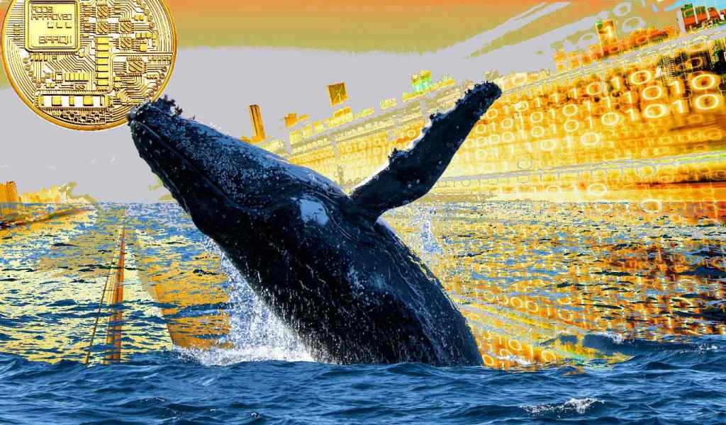 crypto-whales-are-quietly-accumulating-this-altcoin-at-an-unprecedented-rate-says-santiment.jpg