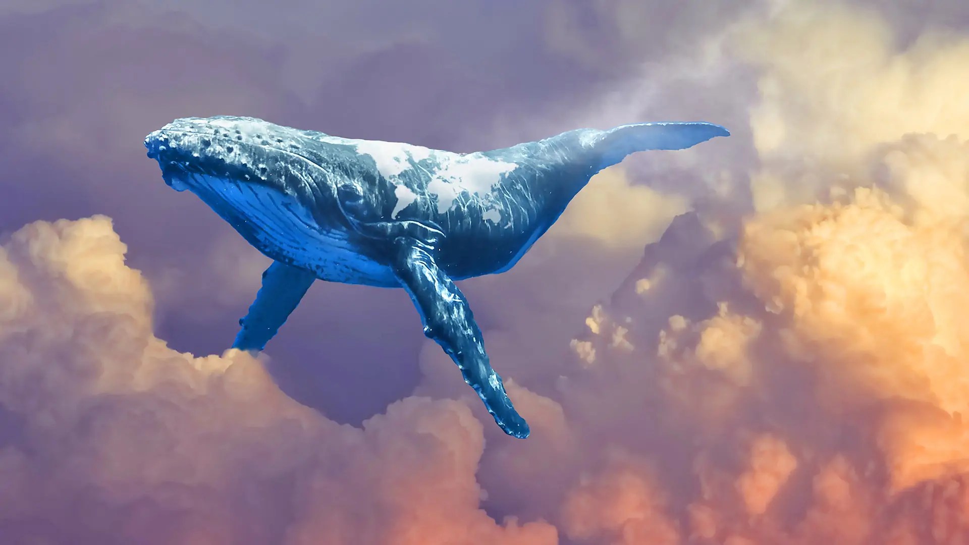 World-Whale-Watching-in-the-Clouds.jpg