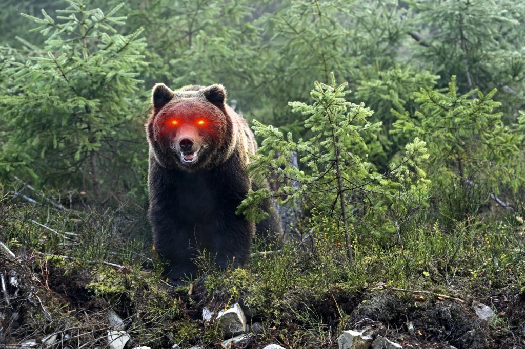 bear-bitcoin-laser-eyesDepositphotos_36840391_xl-2015-scaled-1.jpg
