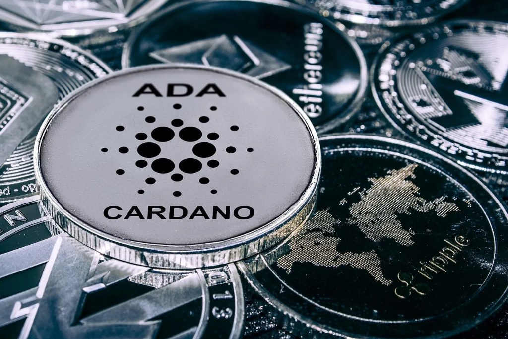 cardano-crypto-monnaie-ada.jpg