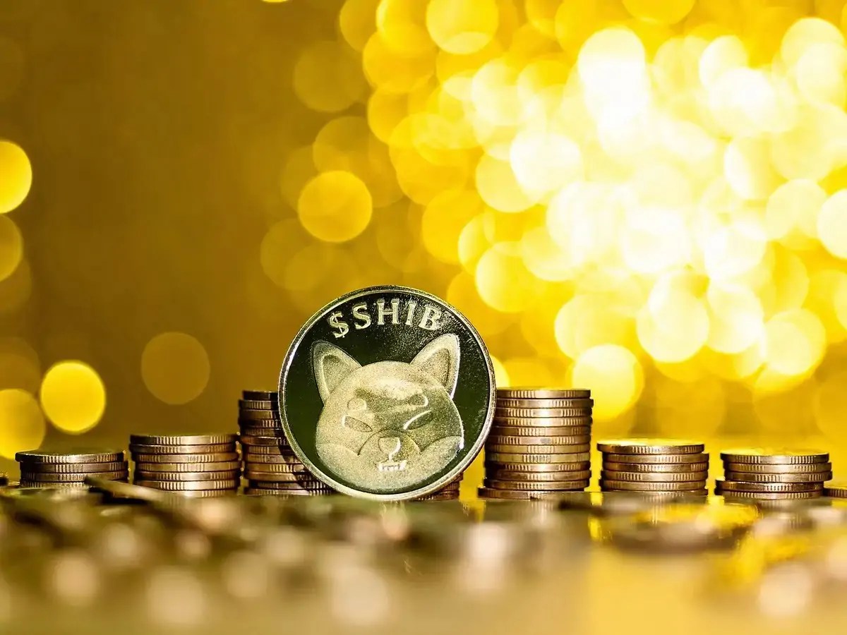 shiba-inu-coin-floki-price.jpg