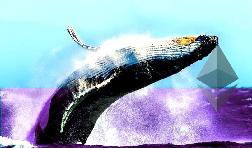 whale-jumping.jpg