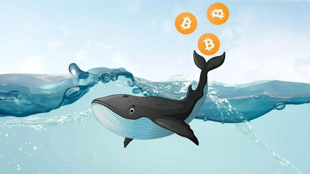 bitcoin-balina-kriptokoin-com-.jpg