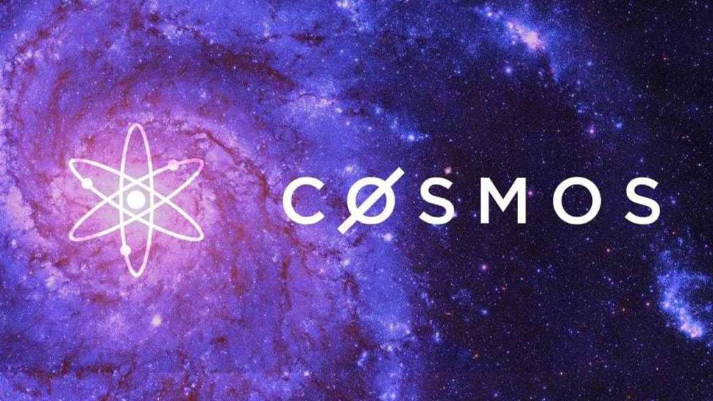 cosmos-1.jpg