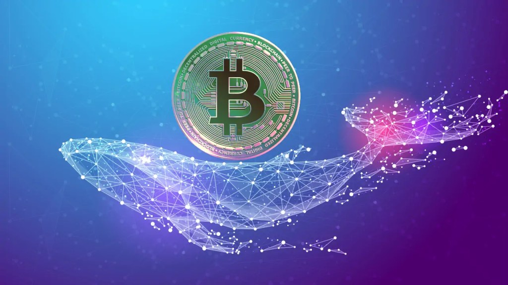 more-investments-from-bitcoin-whales-on-the-horizon-is-it-positive-for-btc-1.jpg