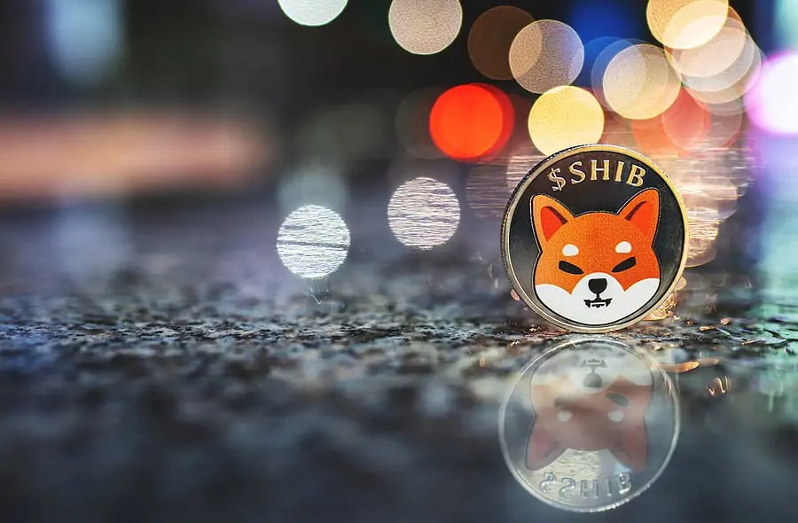 Shiba-Inu-SHIB-Cryptocurrency-Spotlight-Growth.jpg