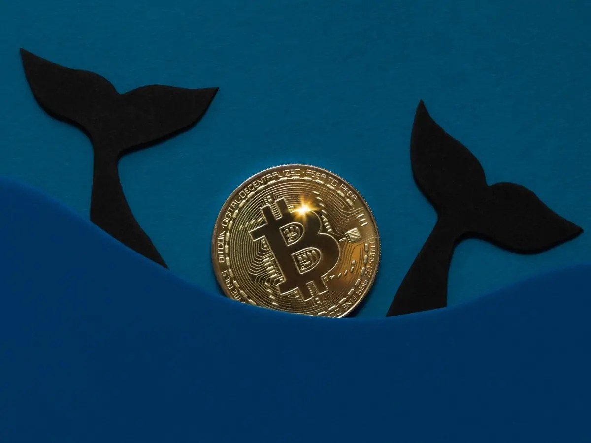 bitcoin-whale-buy-signal-price.jpg