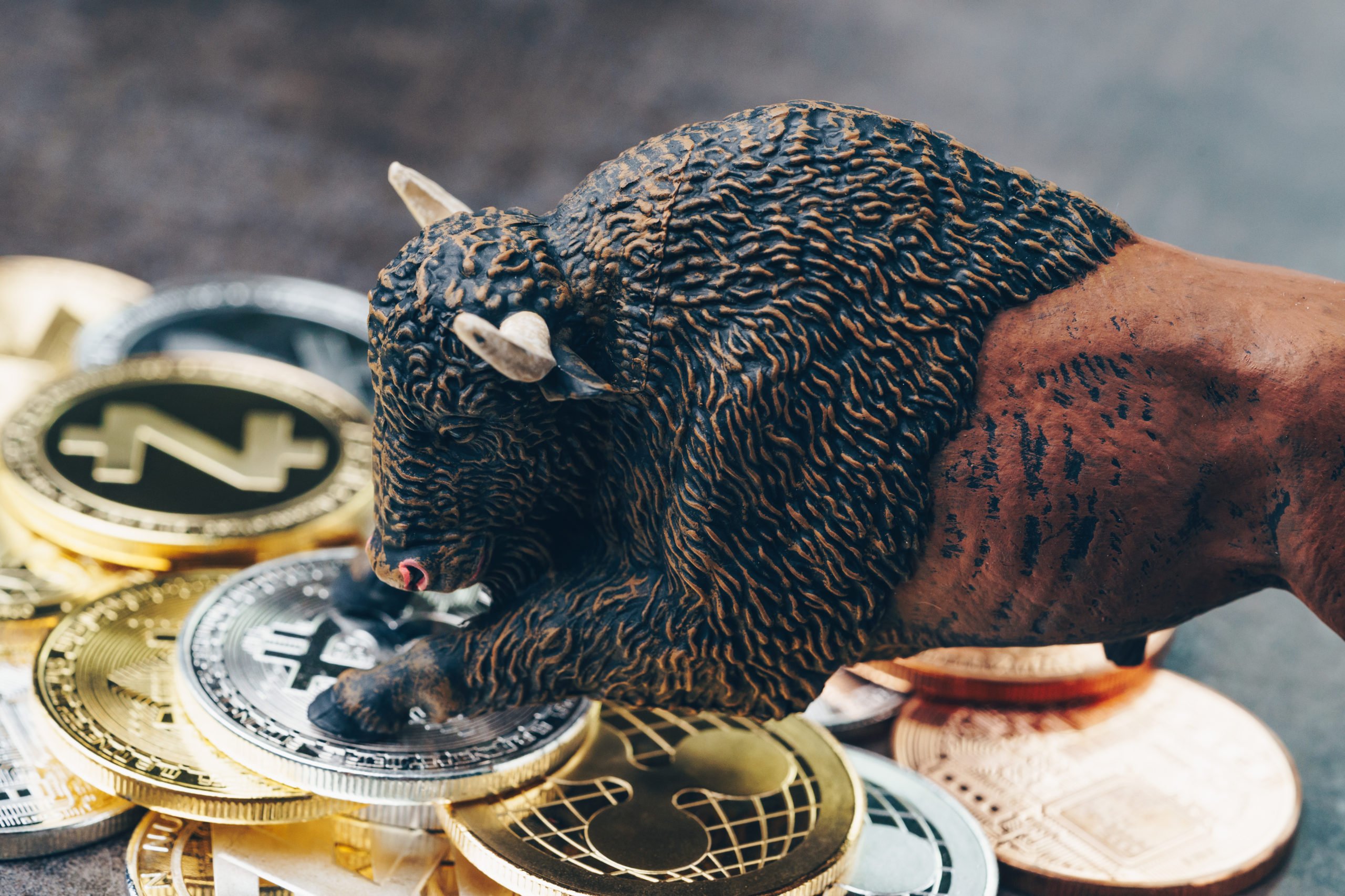 cryptocurrency-altcoin-bull-market-shutterstock_1141573424-scaled-1.jpg