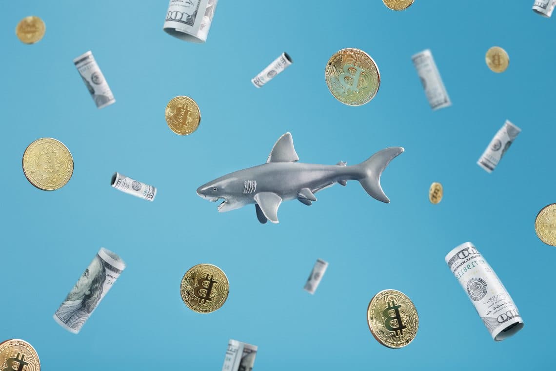 bitcoin-whales1.jpg
