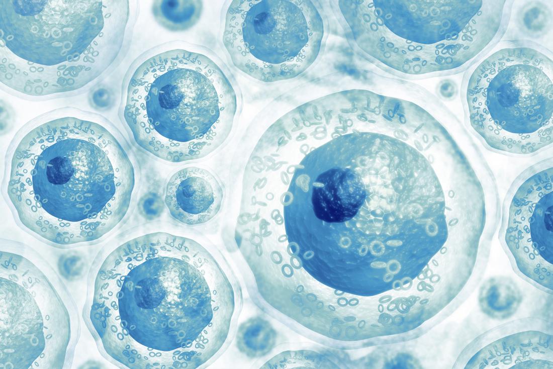 Hücrelere-zarar-vermeyen-3D-mikroskop-tanıtıldı-ShiftDelete.Net_.jpg