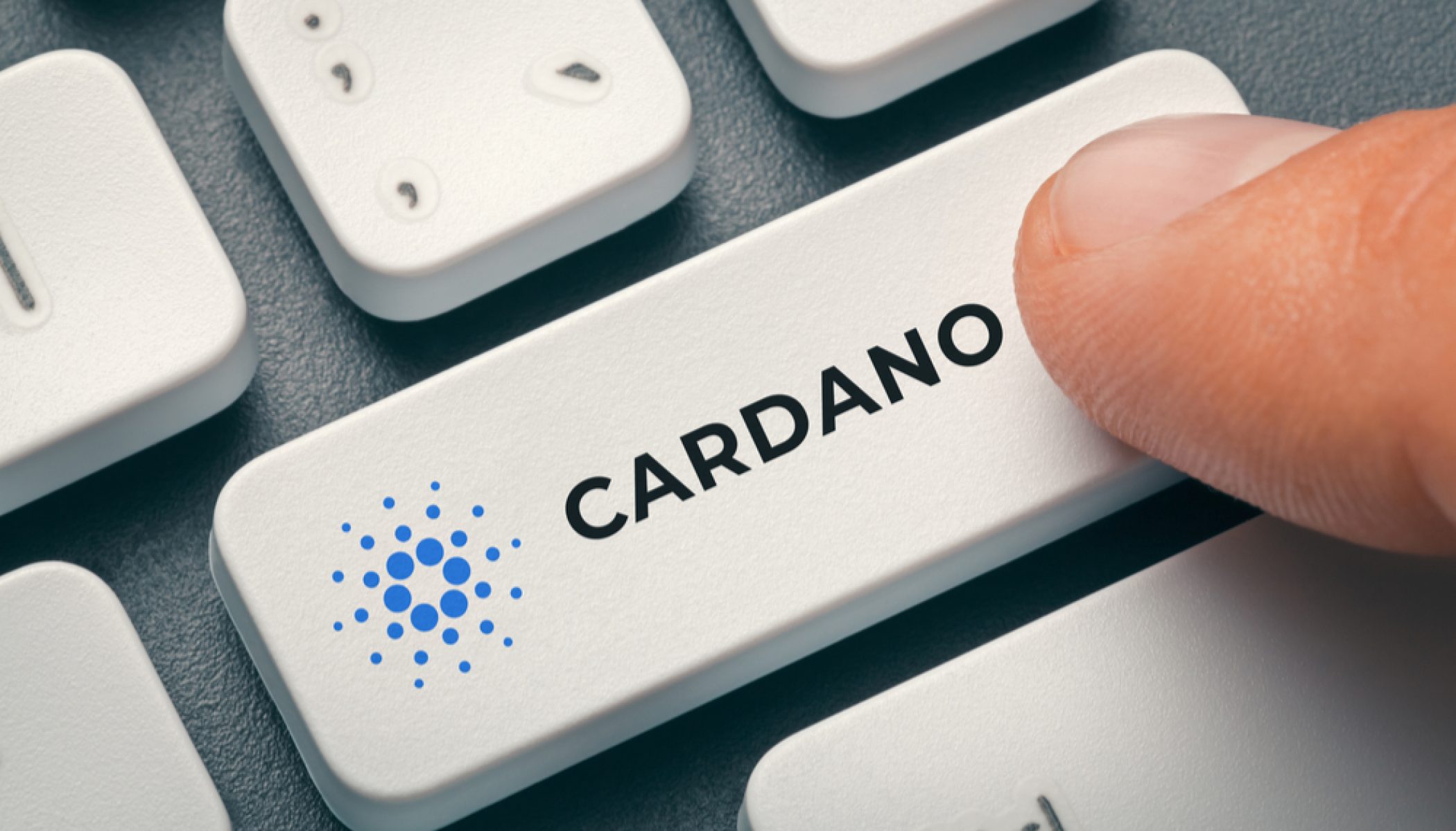 cardano-2100x1200-1.jpg