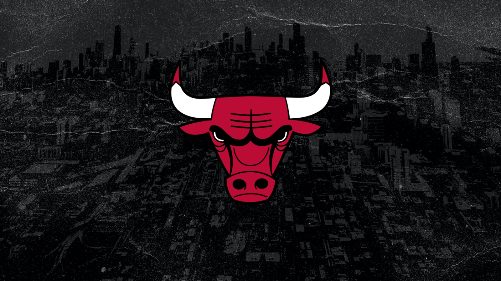 socios-Chicago-Bulls-.jpeg