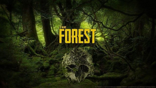 Forest-en-iyi-hayatta-kalma-oyunlari-640x360.jpg
